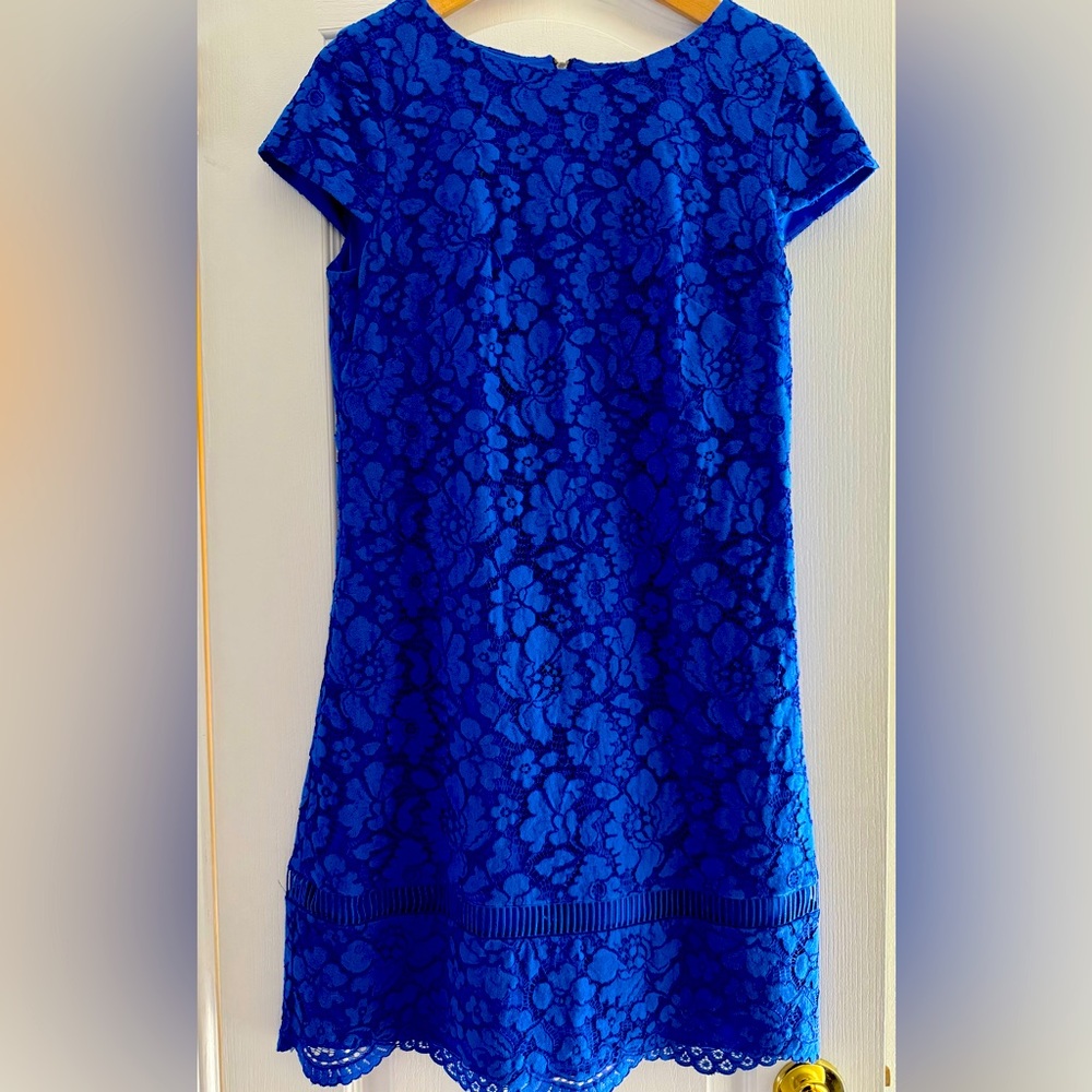 Vince Camino Royal Blue Cap Sleeve Lace Dress